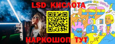 винт Бердск
