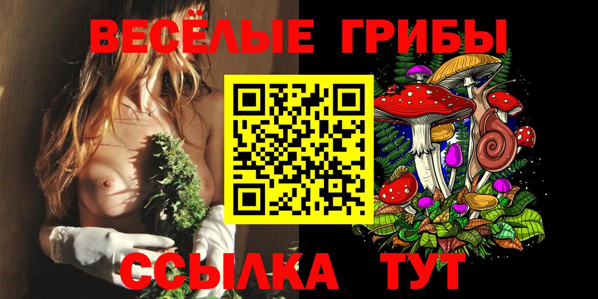 Псилоцибиновые грибы мицелий Дивногорск